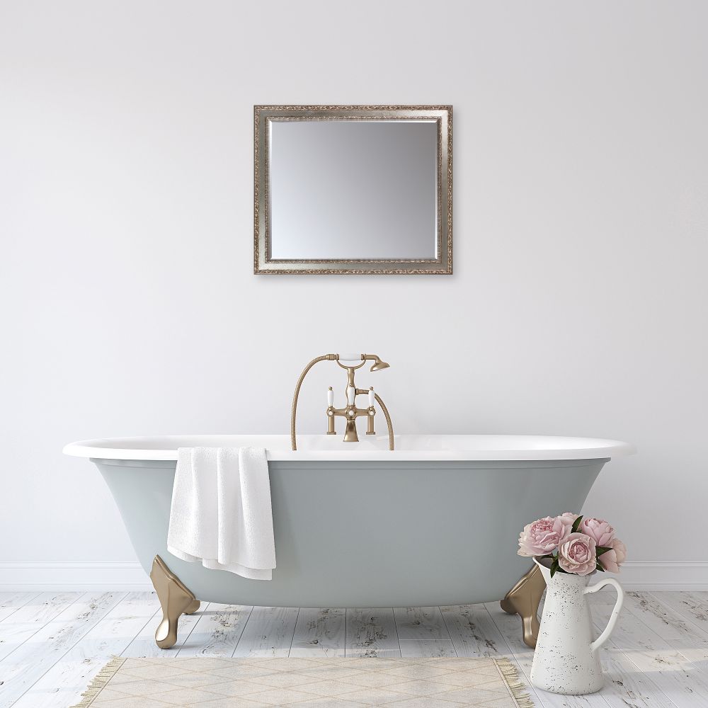 Versailles Silver Salon Framed Mirror