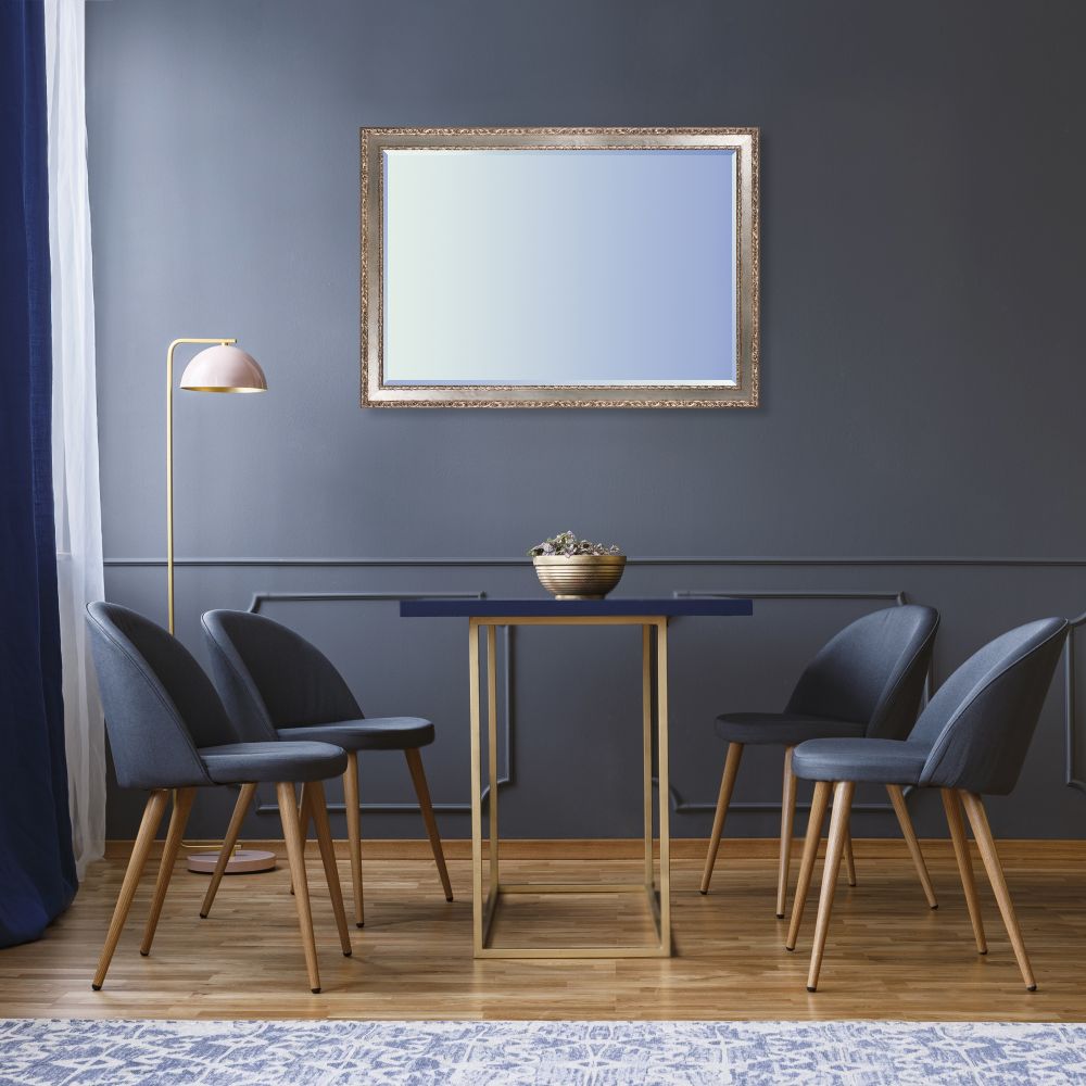 Versailles Silver Salon Framed Mirror