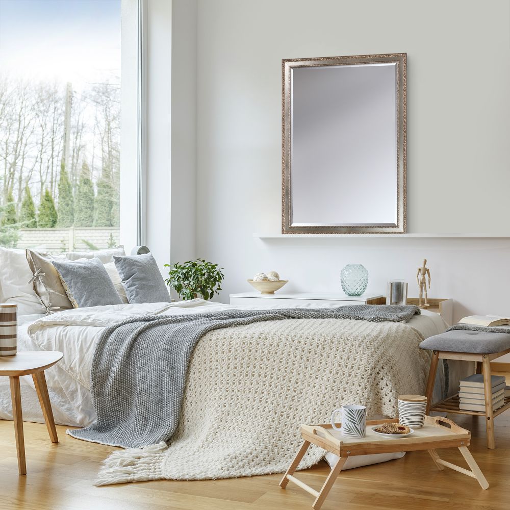 Versailles Silver Salon Framed Mirror