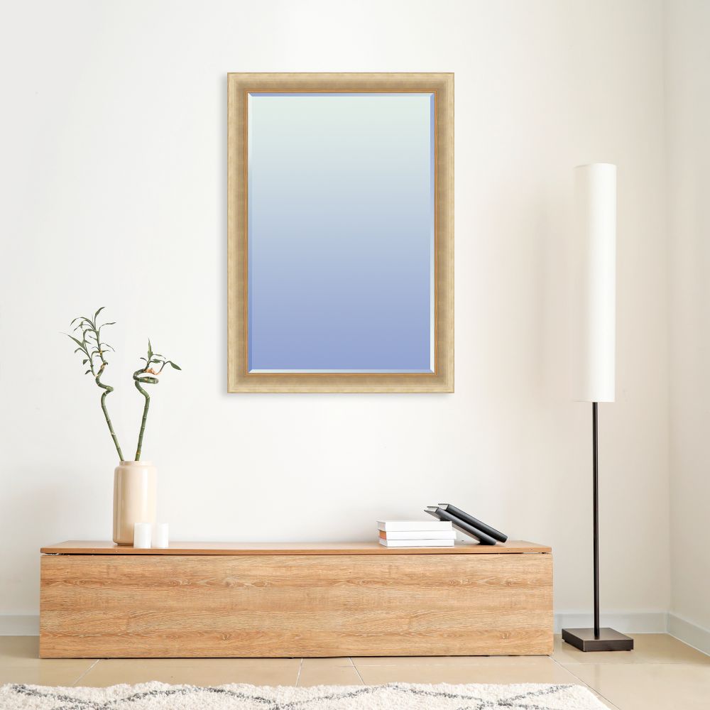 Andover Champagne Framed Mirror