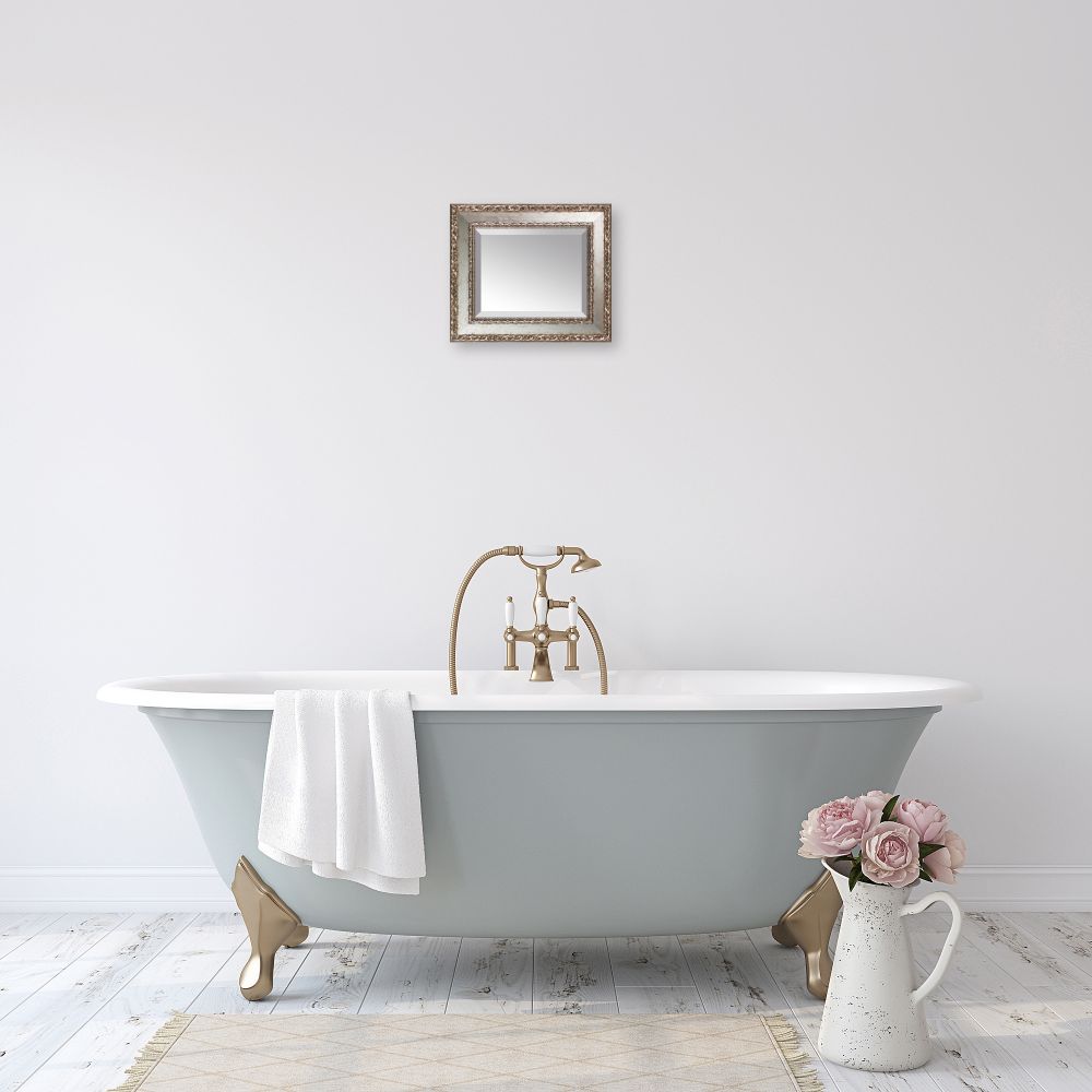 Versailles Silver Salon Framed Mirror