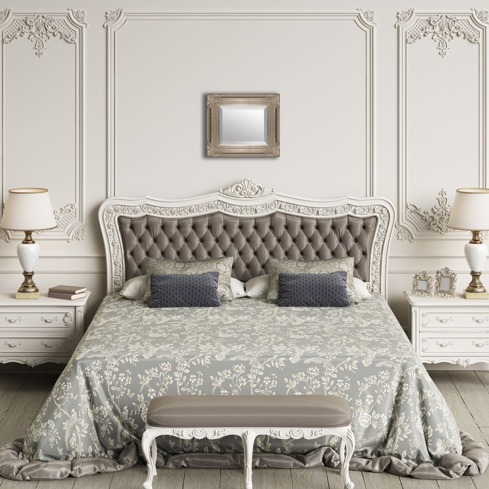 Renaissance Champagne Framed Mirror