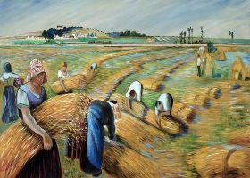 The Harvest