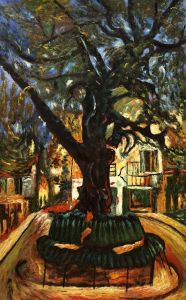The Tree of Vence