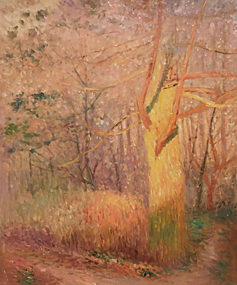 Tree in The Sun, 1900