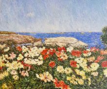 Poppies on the Isles of Shoals