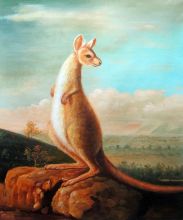 The Kongouro from New Holland