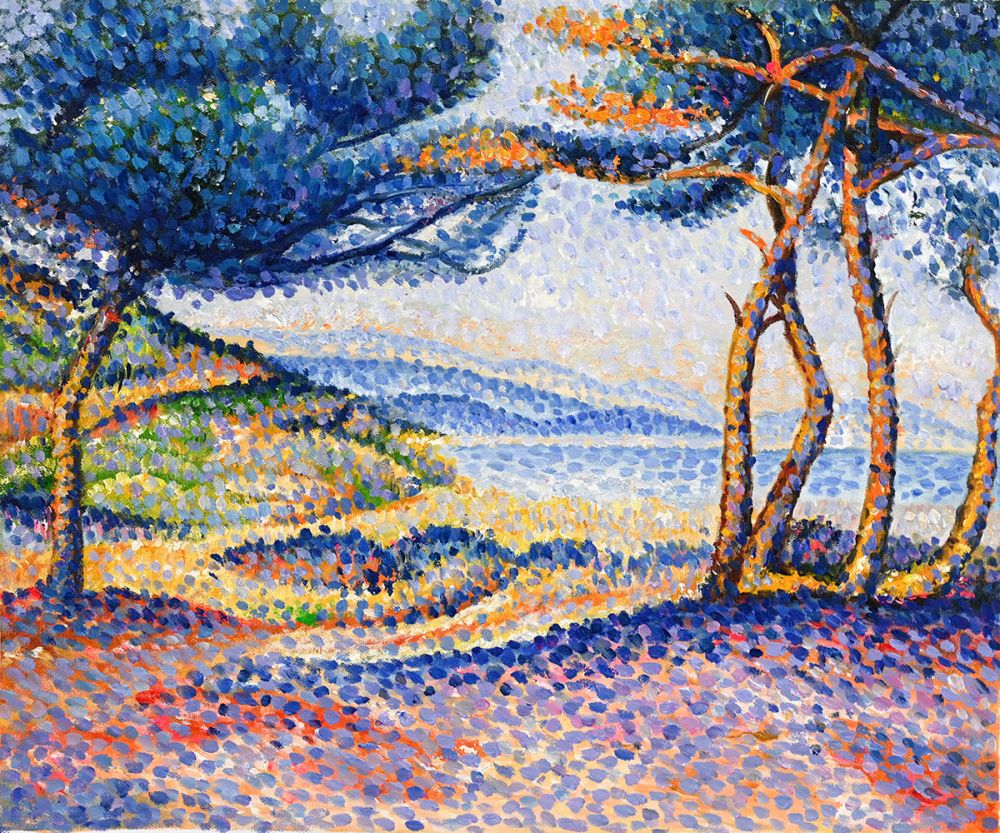 Pines Along the Shore