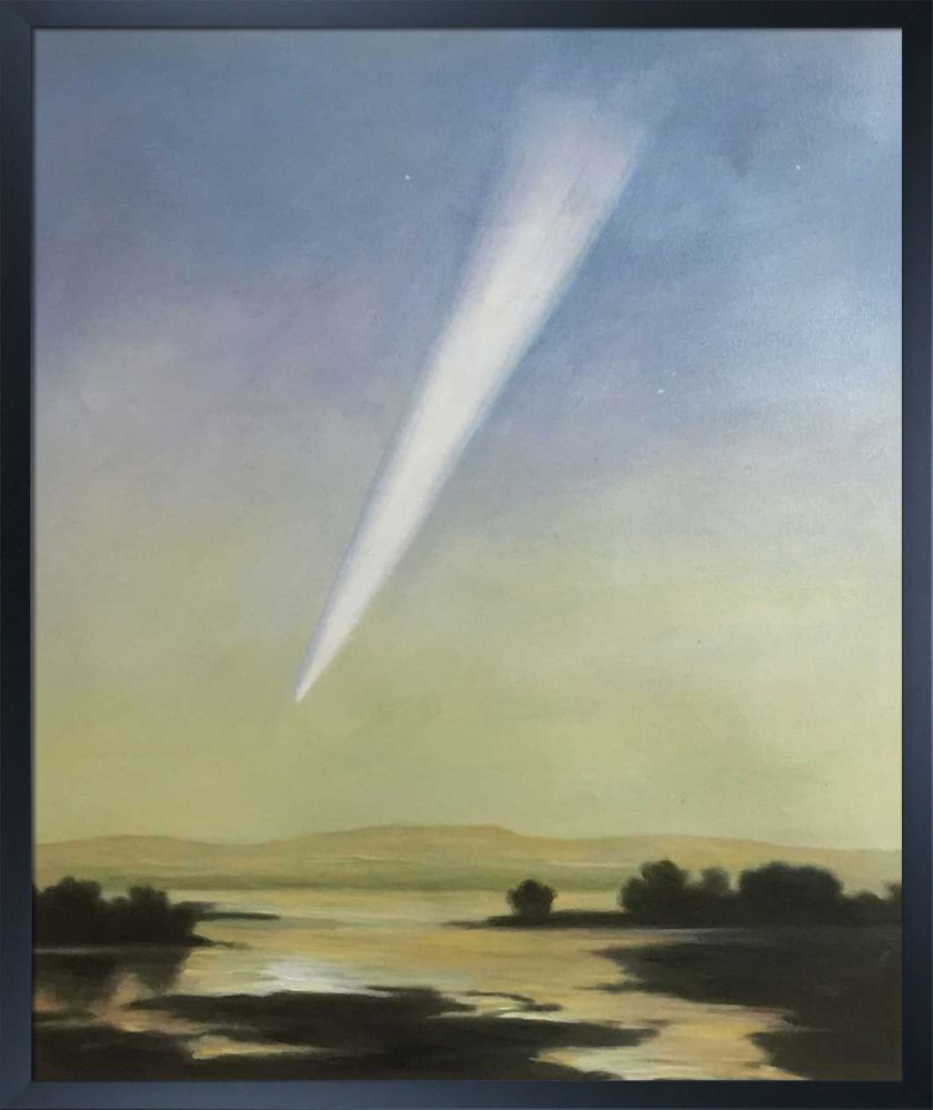 Grand Comet of 1882 Pre-framed - Studio Black Wood Frame 20"X24"