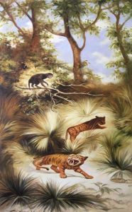 Flora and Fauna of the Plio-Pleistocene Quaternary Period