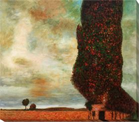 High Poplar Pre-Wrap