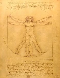 Vitruvian Man