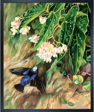 Brazilian Flowers Pre-framed