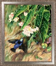 Brazilian Flowers Pre-Framed