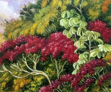 A Bank of Quaresma and Trumpet Trees, Brazil