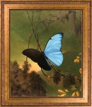 Blue Morpho Butterfly Pre-Framed