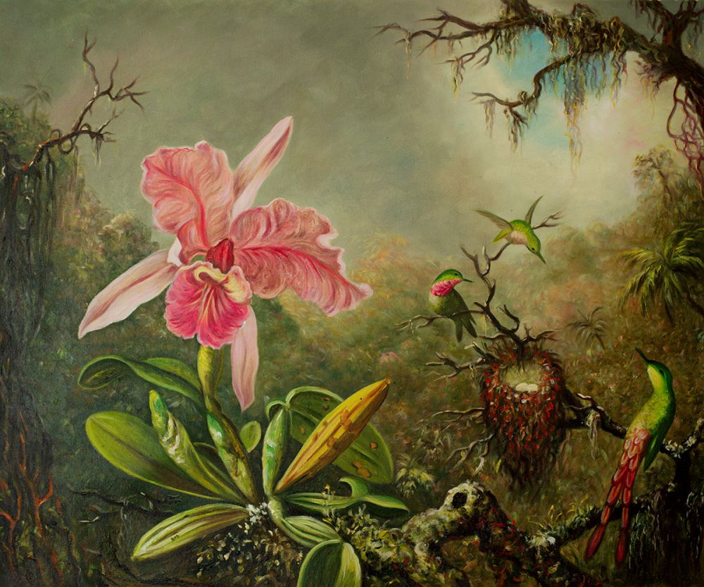 Cattleya Orchid and Three Hummingbirds, 1871