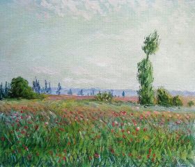 The Fields of Poppies