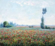 The Fields of Poppies