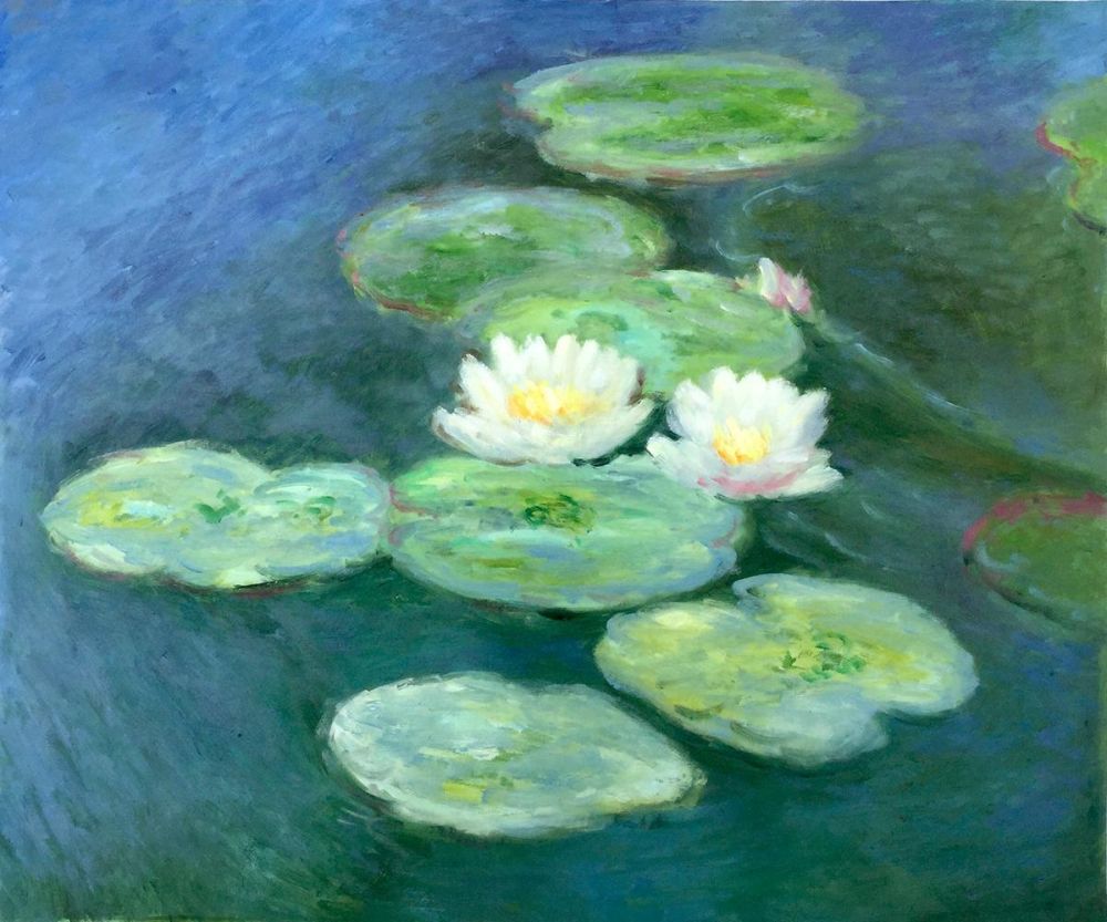 Water Lilies - Evening