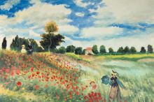 Poppy Field in Argenteuil - 36