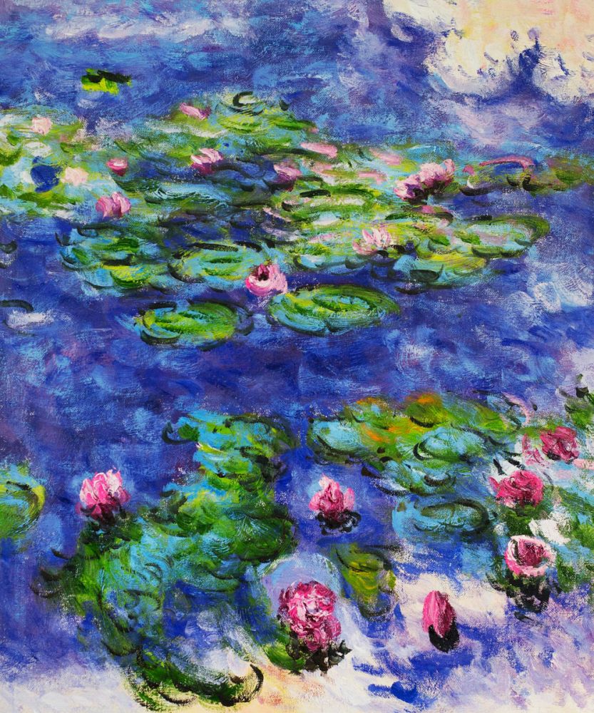 Water Lilies