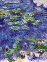 Water Lilies
