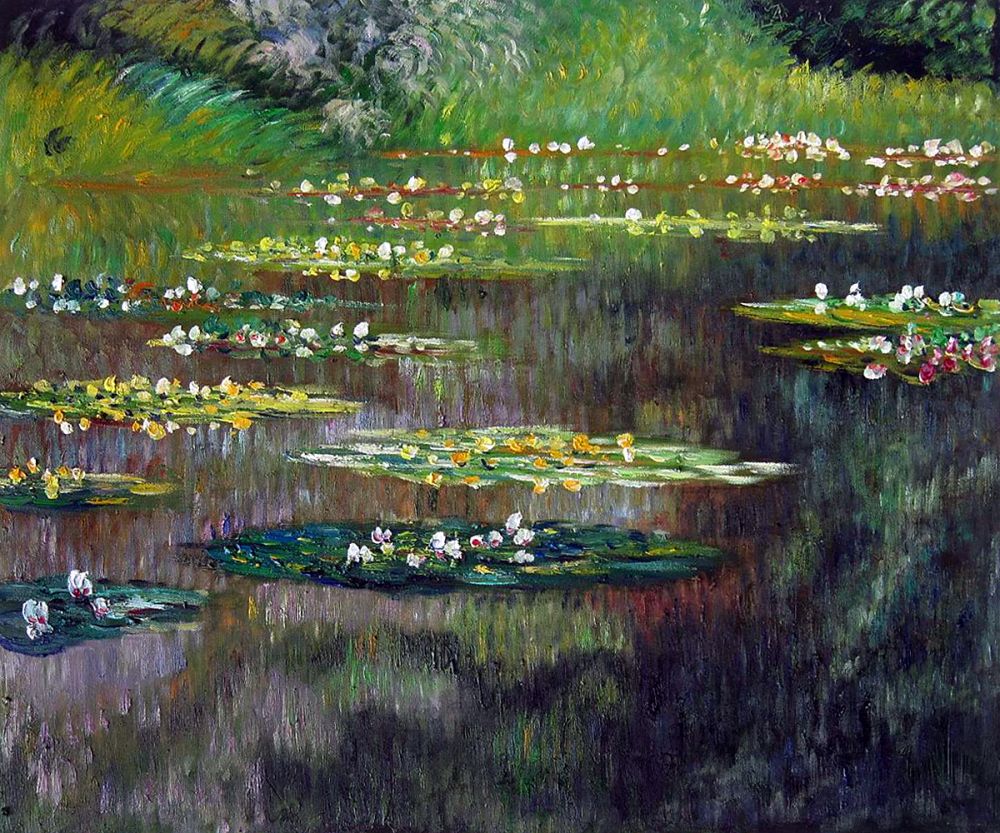Water Lilies
