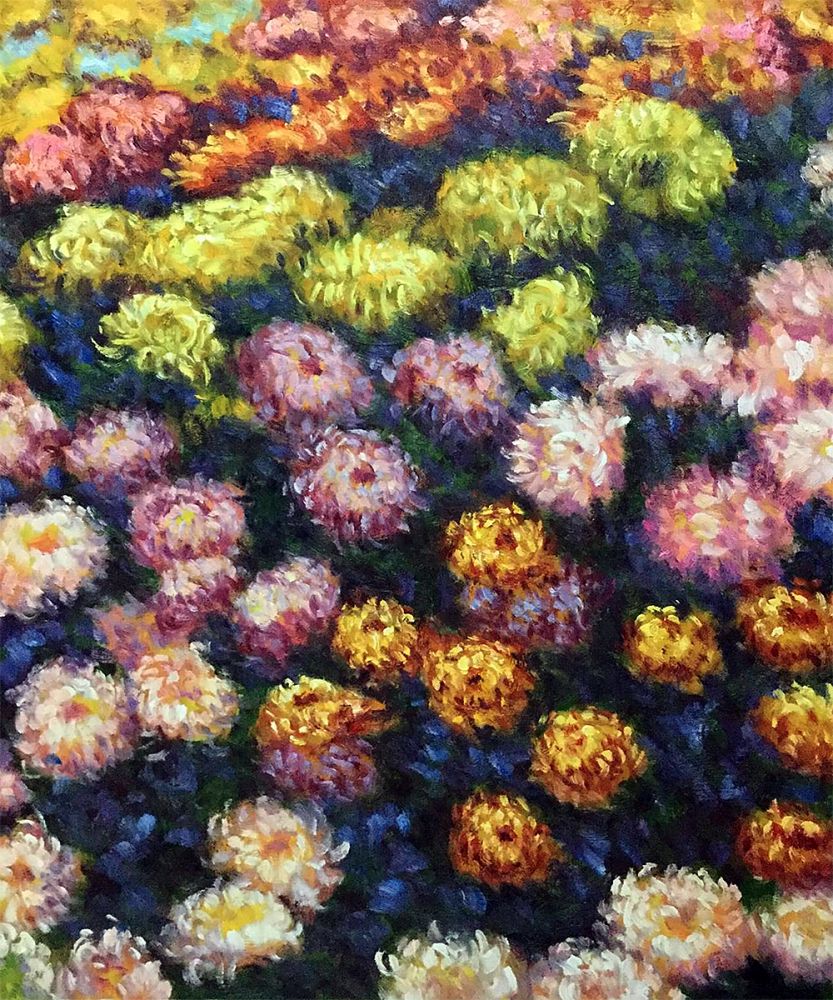 Bed of Chrysanthemums