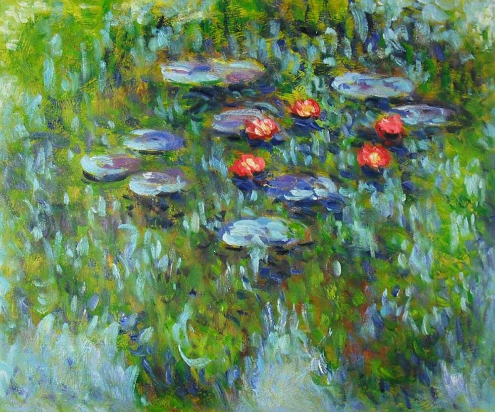 Water Lilies