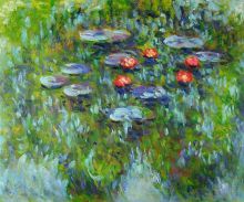 Water Lilies (Peaceful)
