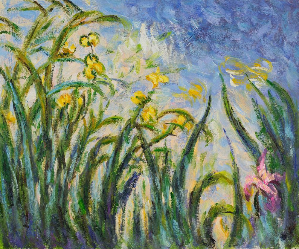 Yellow Irises and Malva