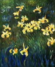 Yellow Irises