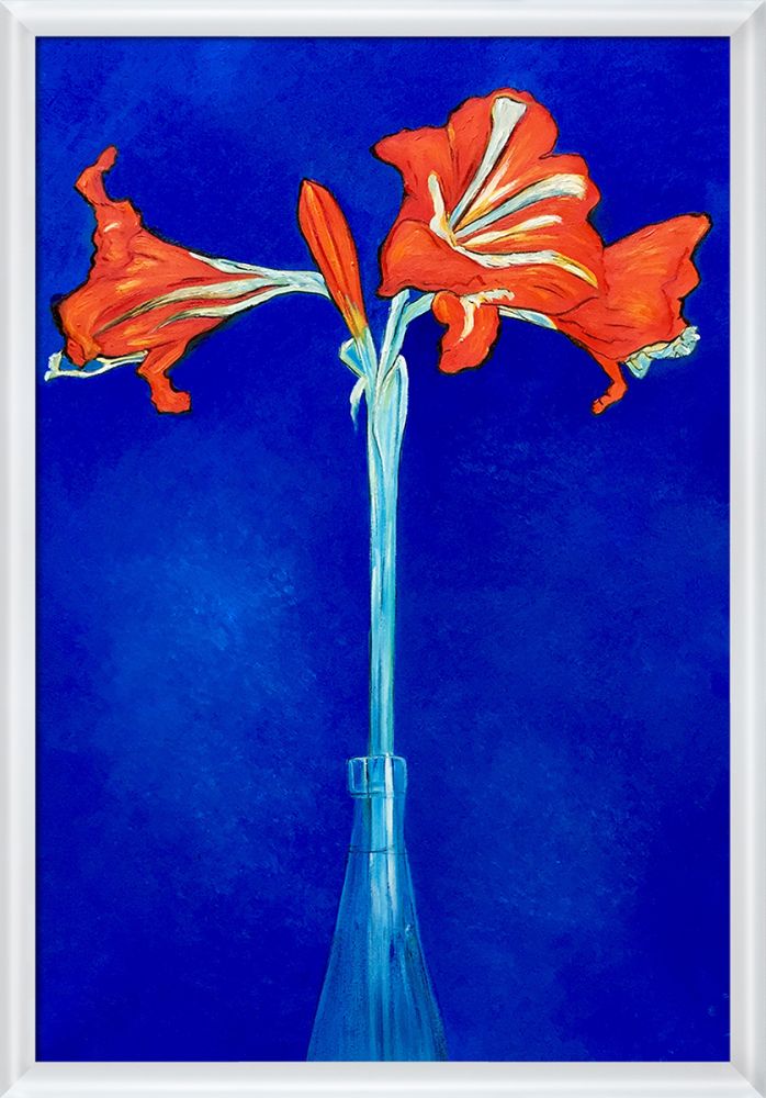Amaryllis Pre-Framed - Moderne Blanc Frame 24" X 36"