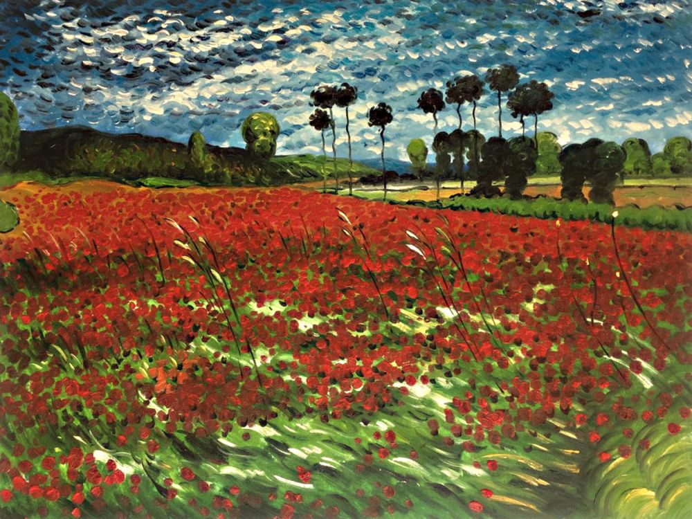 Field of Poppies