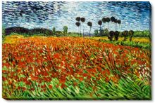 Field of Poppies Gallery-Wrapped