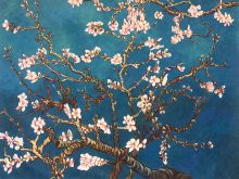 Branches of an Almond Tree in Blossom