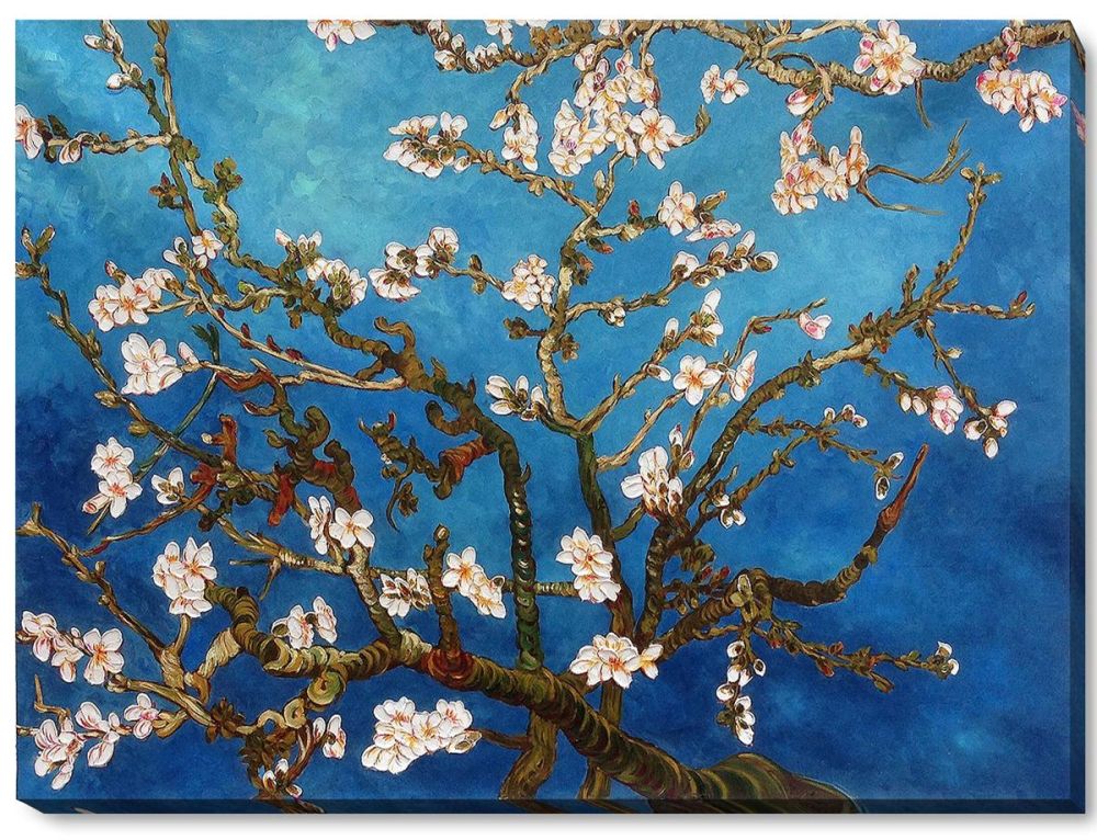 Branches of an Almond Tree in Blossom Pre-Framed - Gallery Wrap 36"X48"