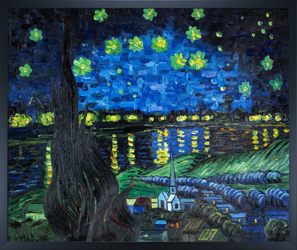 Starry Rhone Collage Pre-framed - Studio Black Wood Frame 20"X24"