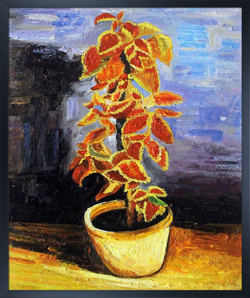 Coleus Plant in a Flowerpot Pre-framed - Studio Black Wood Frame 20"X24"