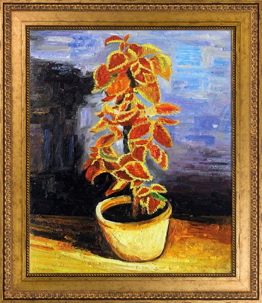 Coleus Plant in a Flowerpot - Versailles Gold King Frame 20" X 24"