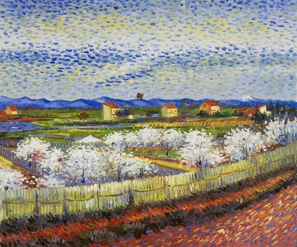 Peach trees in Blossom