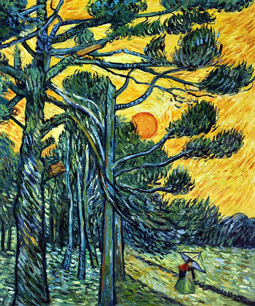 Pine Trees against a Red Sky with Setting sun