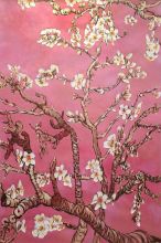 Branches of an Almond Tree in Blossom, Pearl Pink