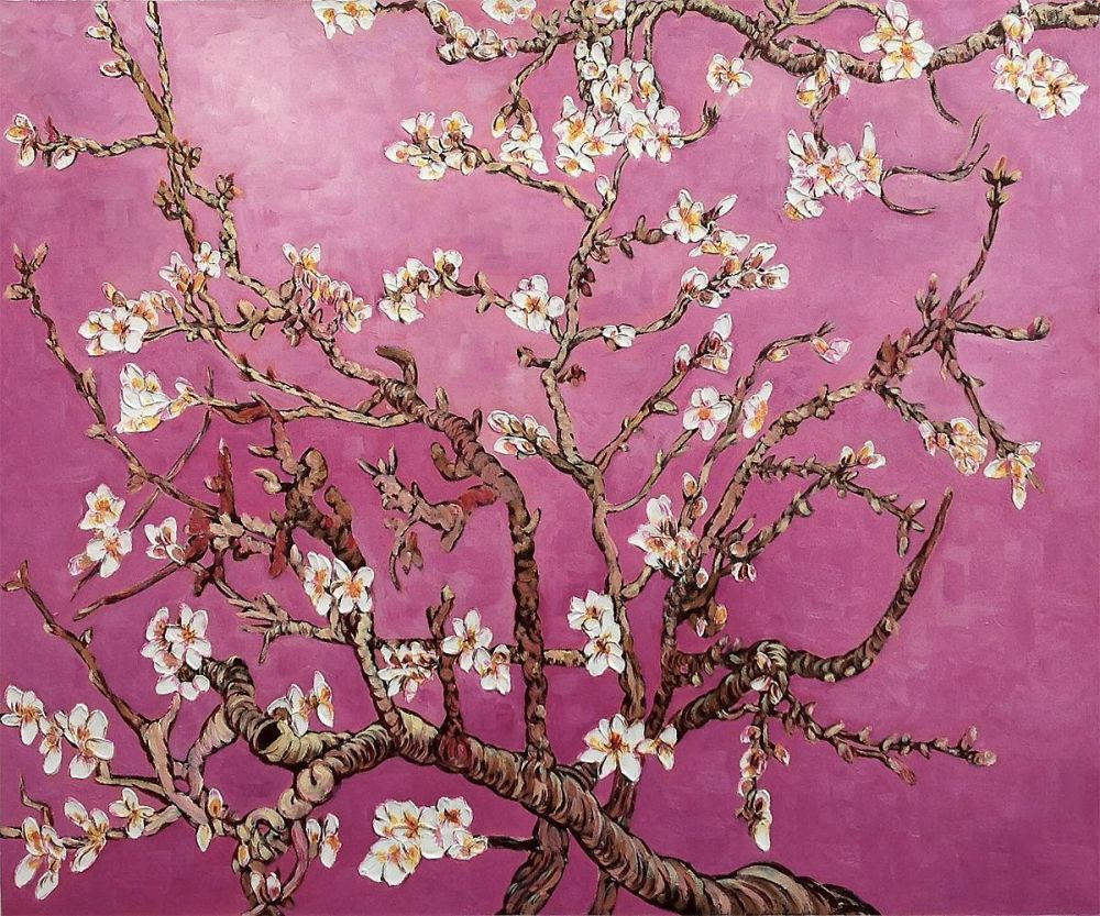 Branches of an Almond Tree in Blossom, Magenta