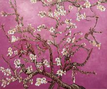 Branches of an Almond Tree in Blossom, Magenta