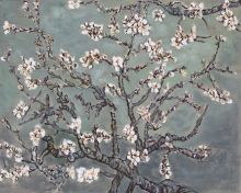 Branches of an Almond Tree in Blossom, Pearl Grey