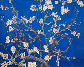 Branches of an Almond Tree in Blossom, Sapphire Blue