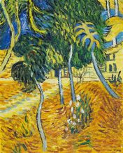 Trees in the Garden of St. Paul Hospital