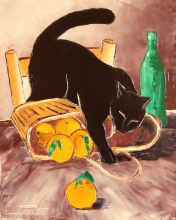 Return from market with black cat